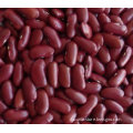 Dark Red Kidney Beans